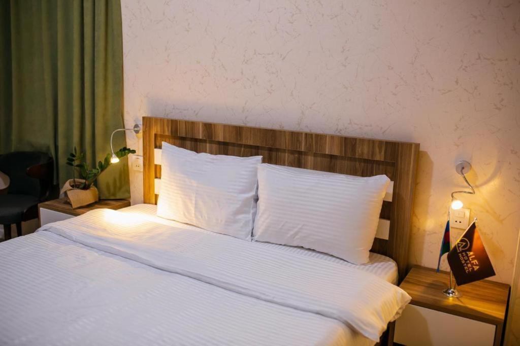 Alfa Hotel Baku Bagian luar foto